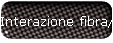 Interazione fibra/resina